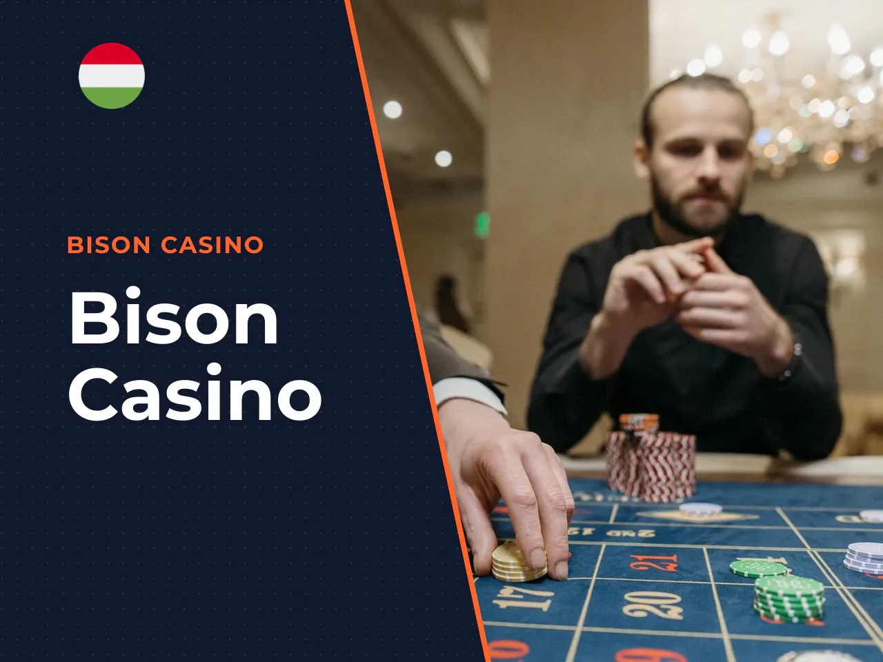 Bison Casino heading-banner