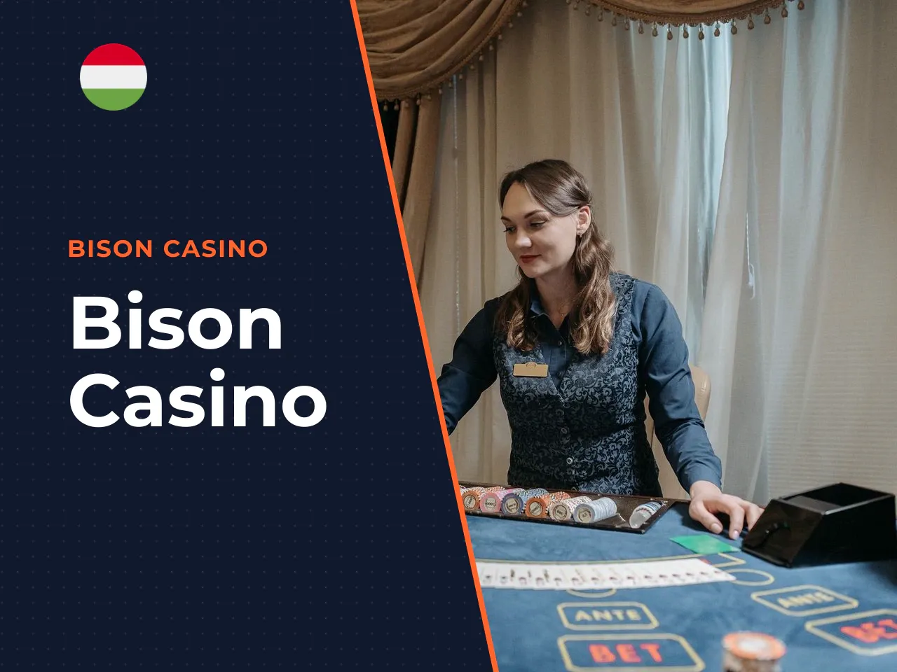Bison Casino heading-banner