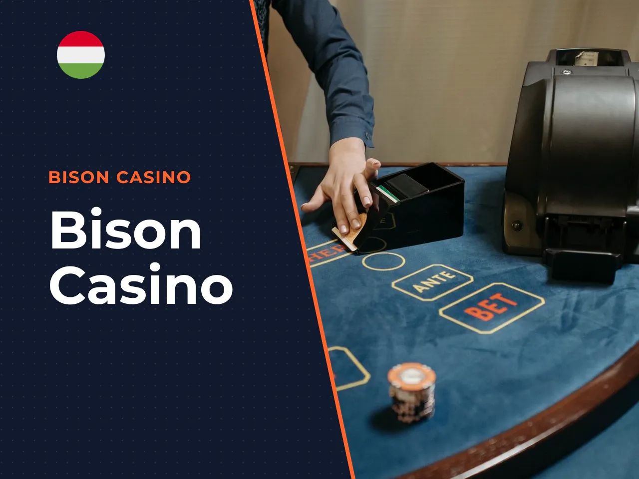 Bison Casino heading-banner